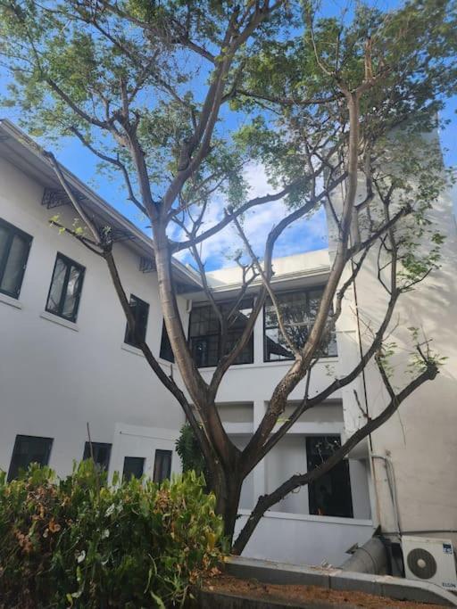 Apartment Loft 3b Casco Antiguo, En La Mejor Zona Del Casco. *